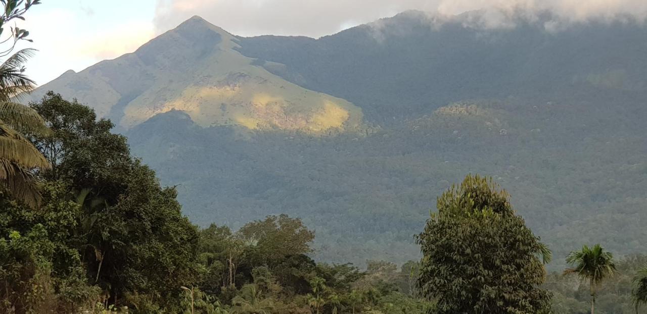 Wayanad Doubletree Villa Vythiri Buitenkant foto