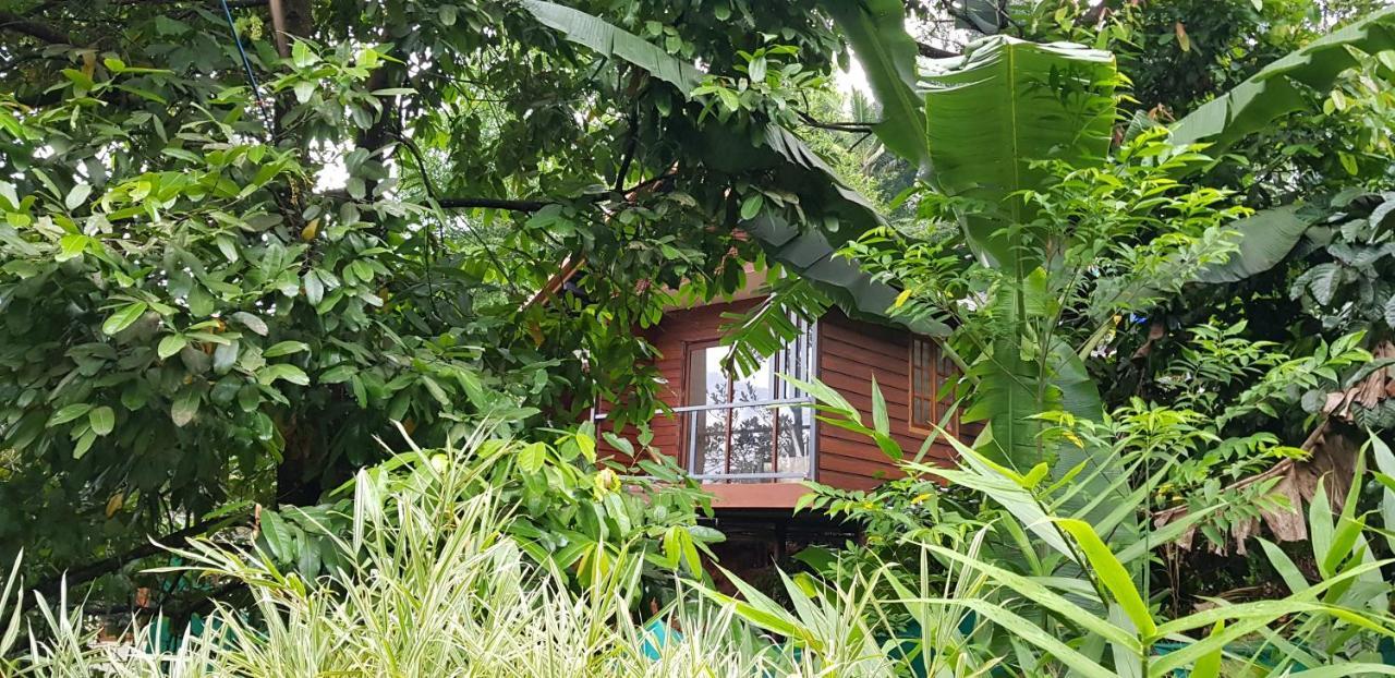 Wayanad Doubletree Villa Vythiri Buitenkant foto