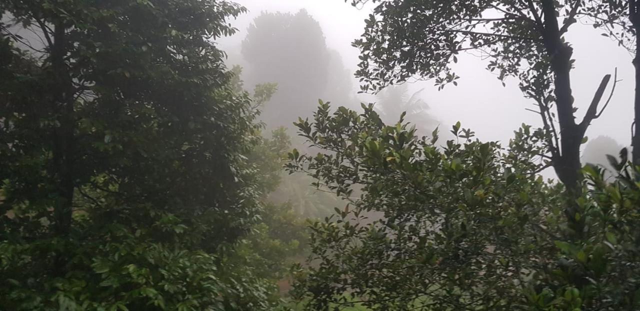 Wayanad Doubletree Villa Vythiri Buitenkant foto
