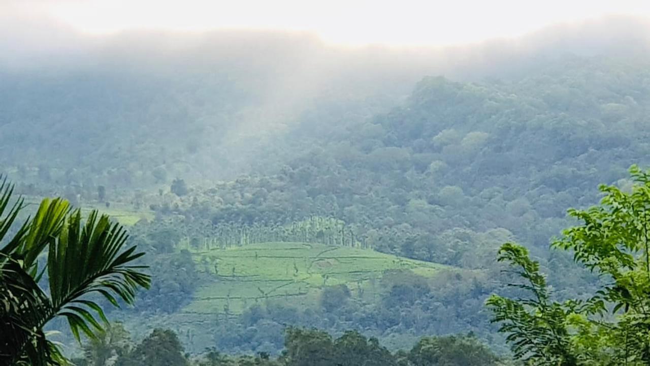Wayanad Doubletree Villa Vythiri Buitenkant foto