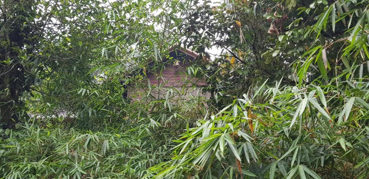 Wayanad Doubletree Villa Vythiri Buitenkant foto