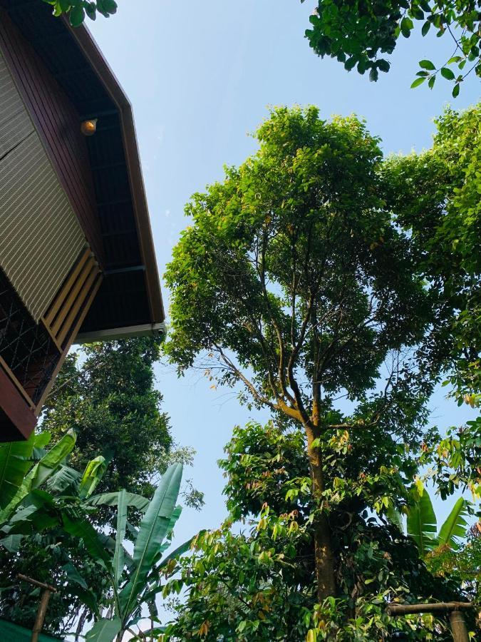Wayanad Doubletree Villa Vythiri Buitenkant foto